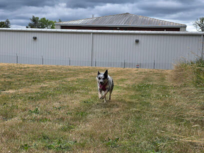 Buckley Off-Leash Area