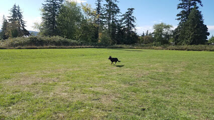 Henry Hollow Dog Park