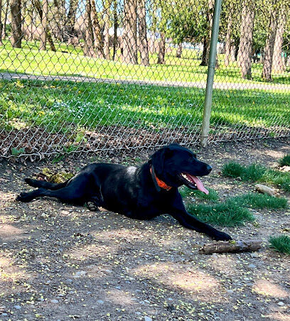 Fort Borst Park Dog Park