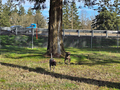 Ft Lewis Dog Park