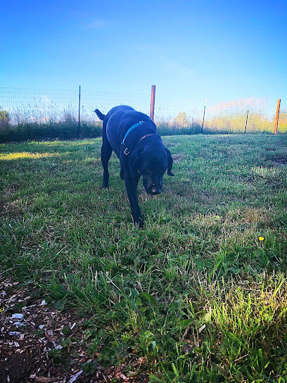 Duvall Dog Park