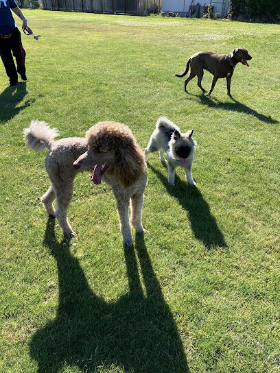 East Wenatchee Dog Pack
