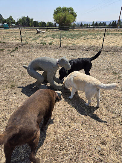 Rotary Off Leash Dog Area