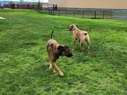Martin Family Dog Park