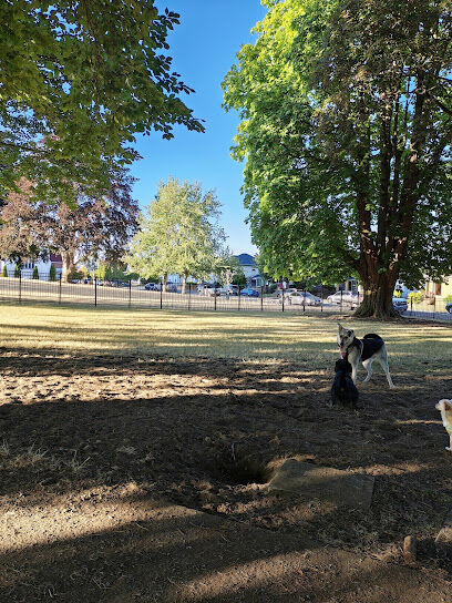 Clark Off leash dog park