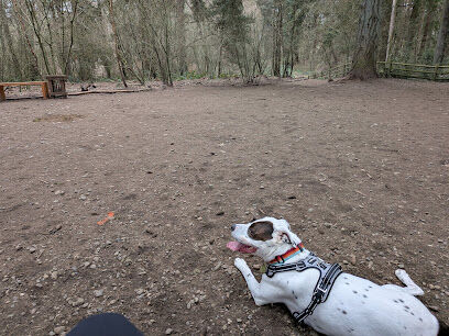Lake Stickney off leash dog park