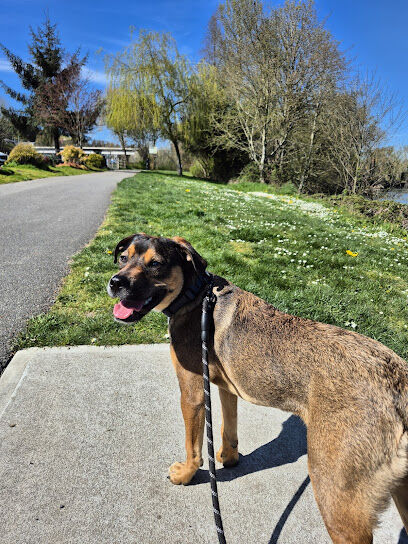 Lowell Riverfront Dog Park
