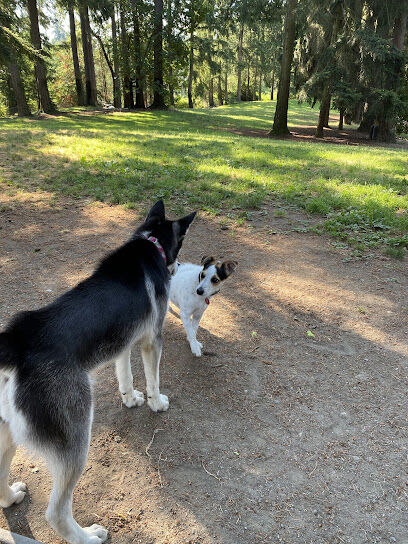 French Lake Off-Leash Dog Park
