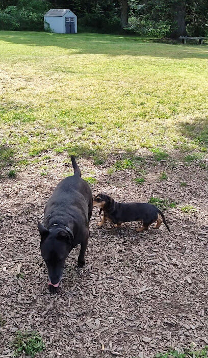 Eddie & Friends Dog Park