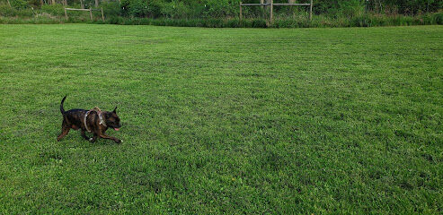 Pup Town Dog Park