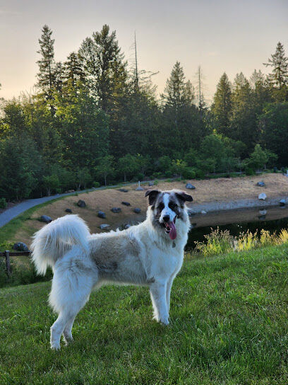 Dog Park
