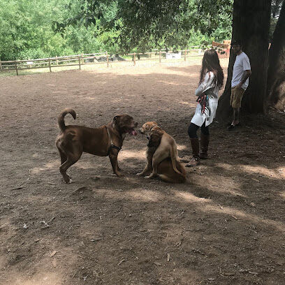 Jasper's Dog Park