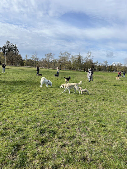 Fort Steilacoom Dog Park