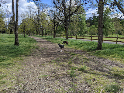 Fort Steilacoom Large Dog Park