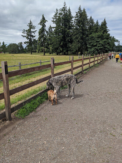 Fort Steilacoom Park