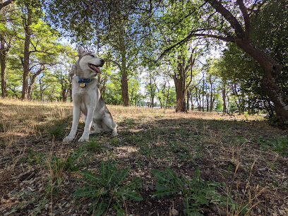 Scraps Dog Park