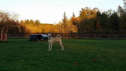 Strawberry Fields Off-Leash Dog Park