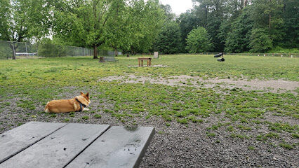 Wiggly Field Dog Park