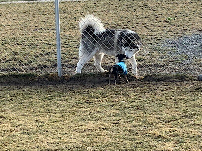 Basin Homes Dog Park