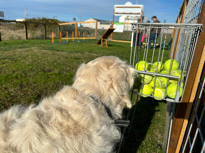 O'Donnell's Dog Park