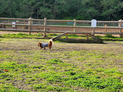 Tails and Trails Dog Park