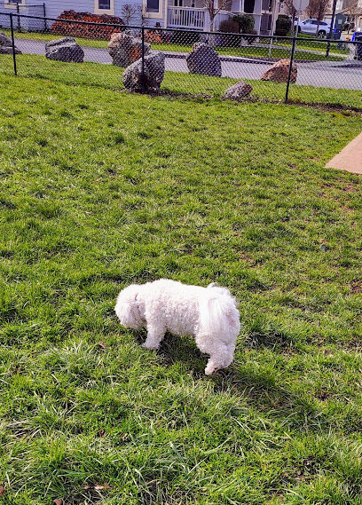 Dog park