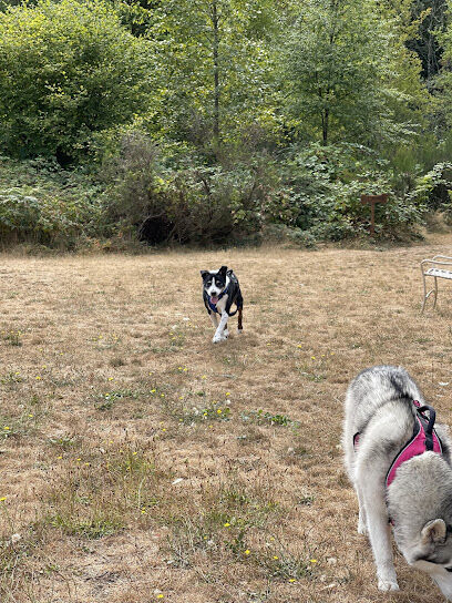 Bandix Dog Park