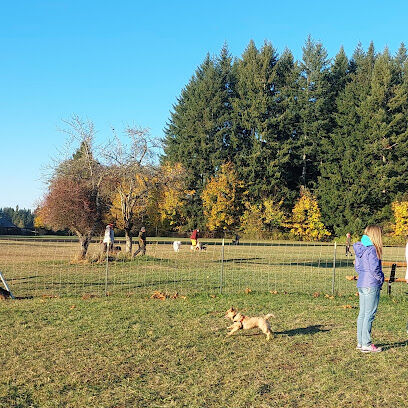 Olympia Dog Park