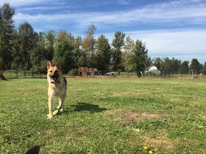 Orting Dog Park