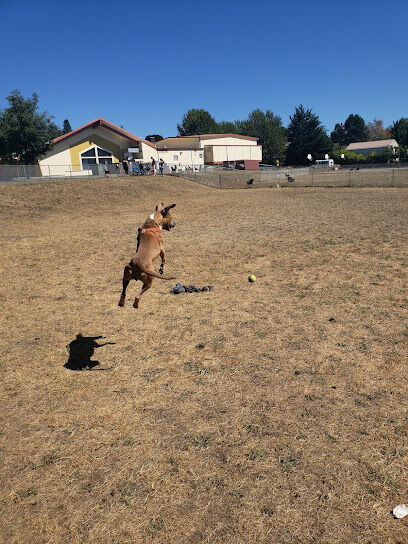 Mountain View Dog Park