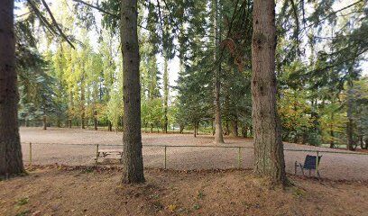 Raab Park Off-Leash Dog Area