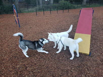 Rainier Woods Off-Leash Dog Park