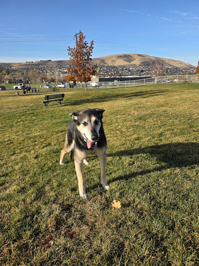 Dog Park