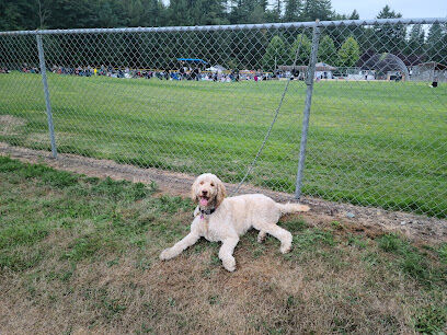 Beaver Lake Off-Leash Dog Park