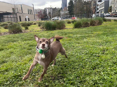 A Sulliβs Dog Park