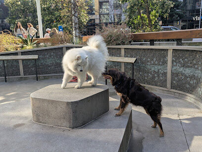 Amazon - Day 1 Dog Park