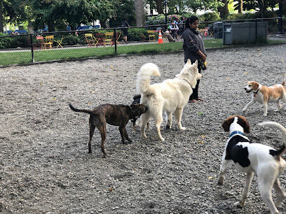 Denny Park Dog Park