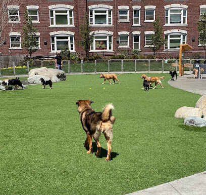 Denny Substation Dog Park