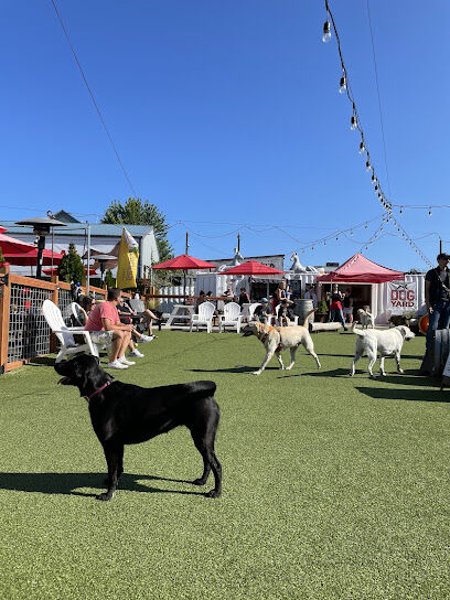 Dog Yard Bar