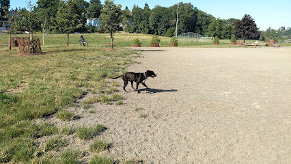 Genesee Dog Park