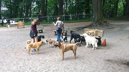 Golden Gardens Off Leash Area