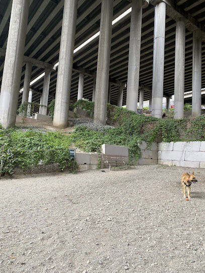 I-5 Colonnade Off-Leash Area