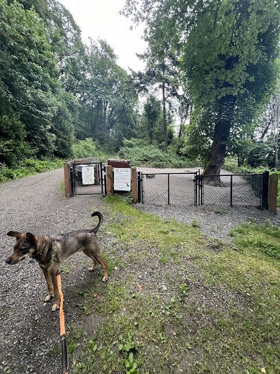 Kinnear Park Off-Leash Area