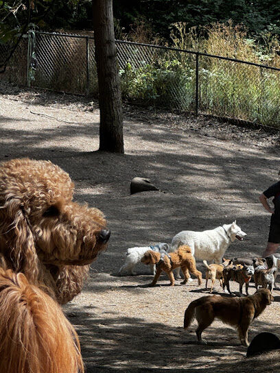 Lower Woodland Dog Park Off Leash Area