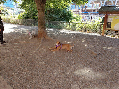 Plymouth Pillars Dog Park