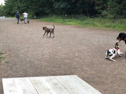 Shoreview Park Off Leash Area Dog Park