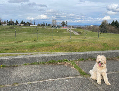 Westcrest Dog Park