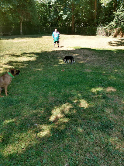Kneeland Park Off Leash Dog Park