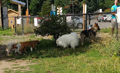 Silverdale Dog Park
