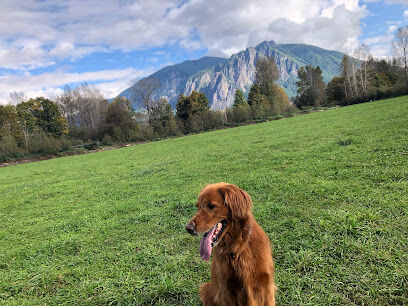 Three Forks Off-Leash Dog Park